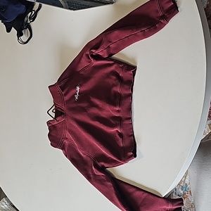 Alphalete cropped hoodie. Size M. Bergandy